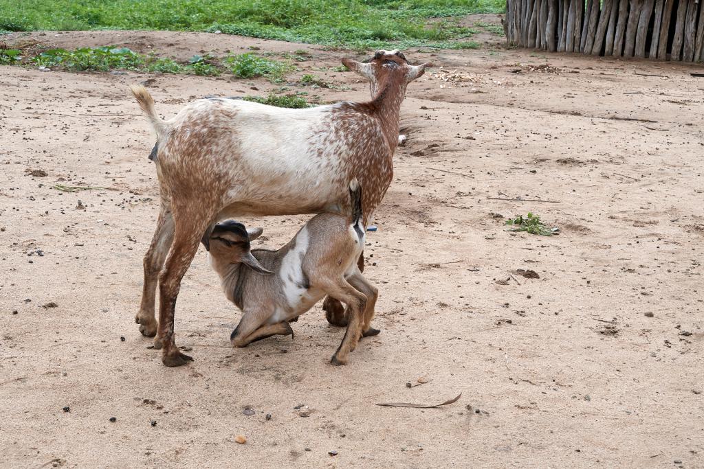 Pays Karo, vallée de l'Omo [Ethiopie] - 2019