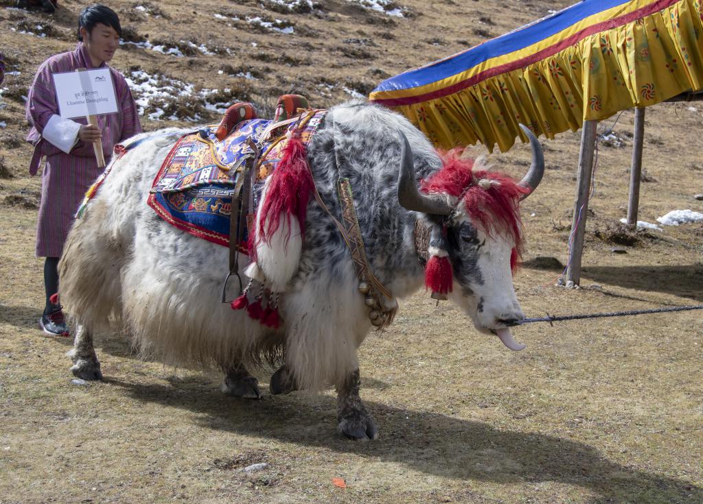 Festival de Laya [Bhoutan] - 2018