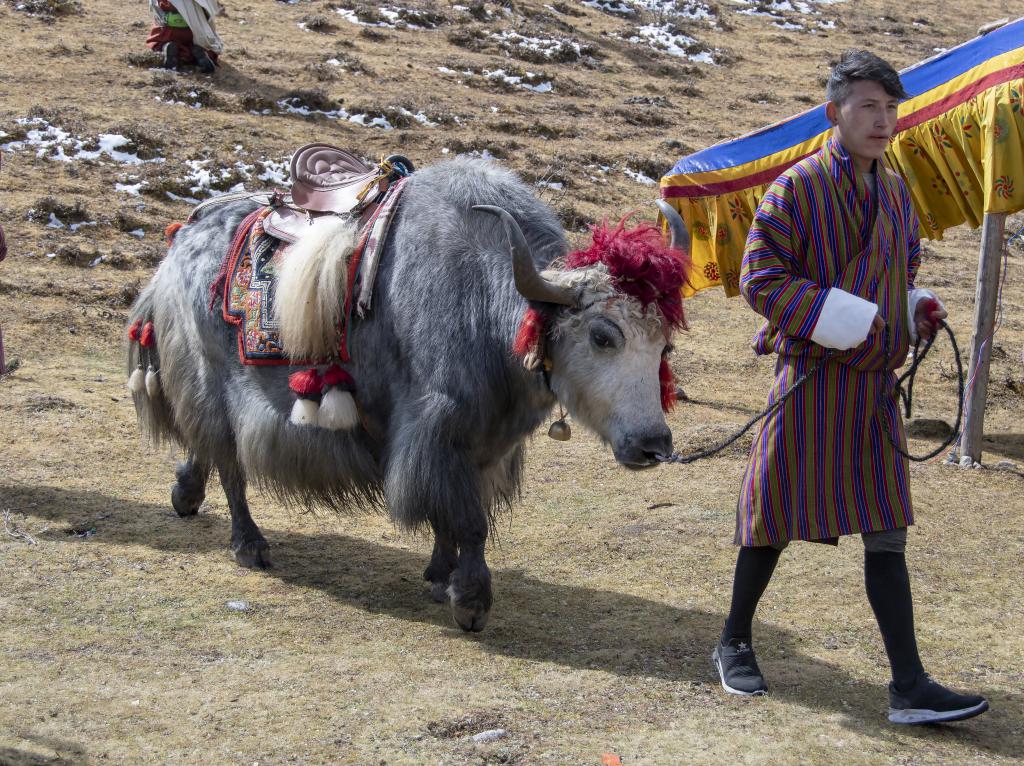 Festival de Laya [Bhoutan] - 2018