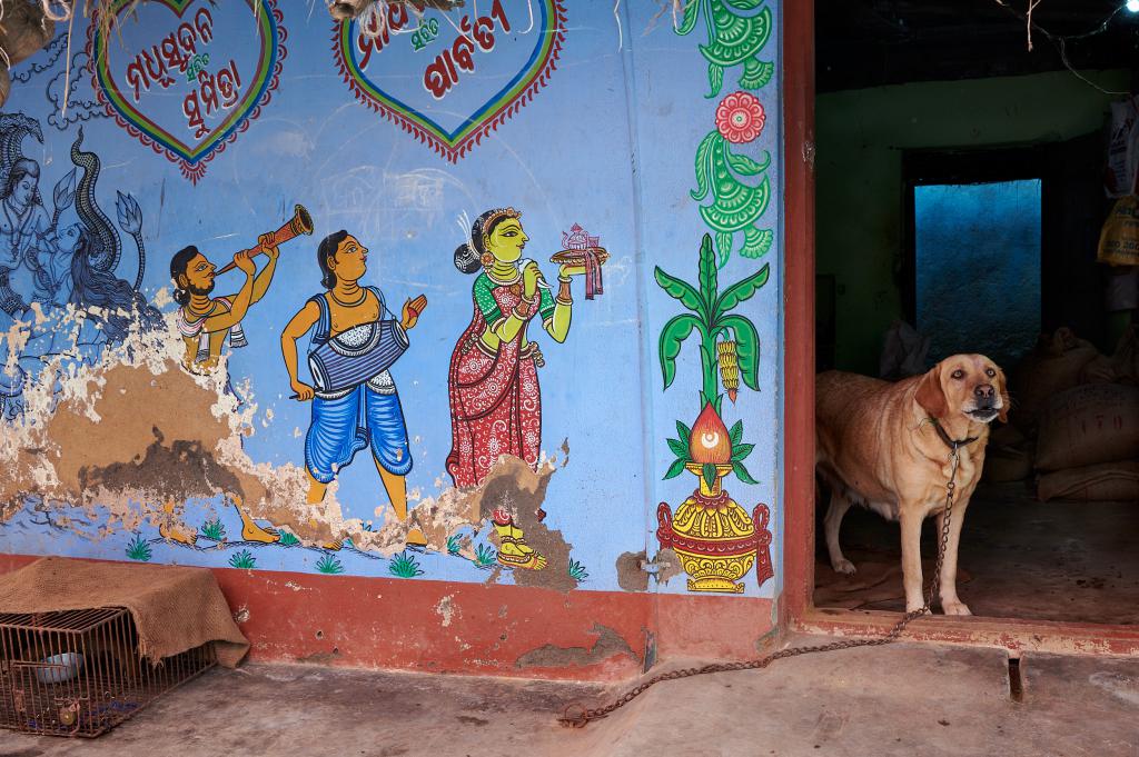 Fête de Holi [Inde] - 2020