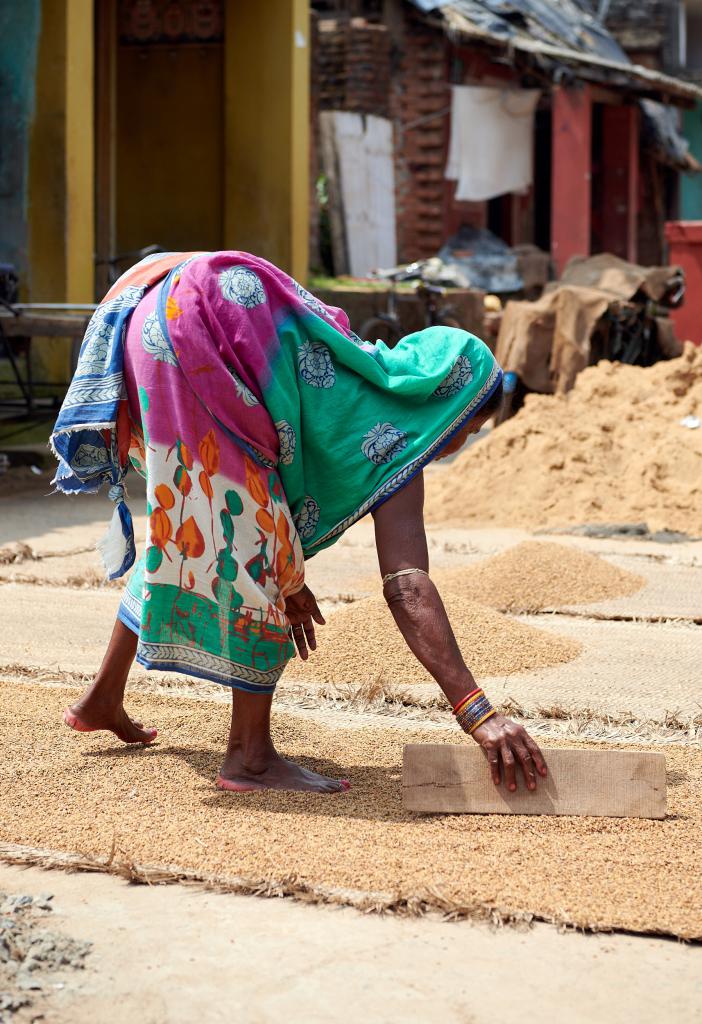 Fête de Holi [Inde] - 2020