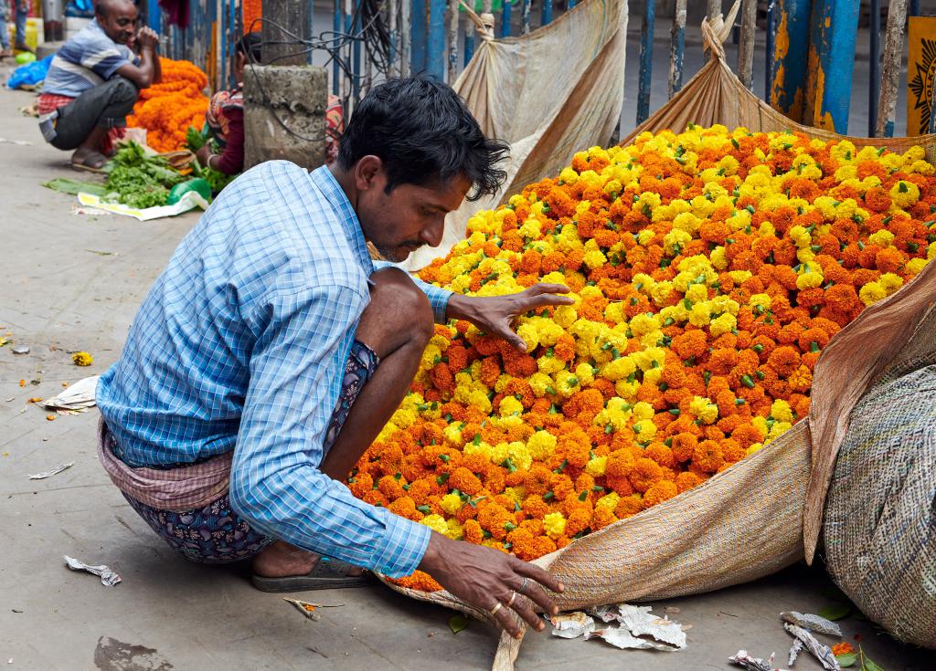 Calcutta. Le marché aux fleurs [Inde] - 2020