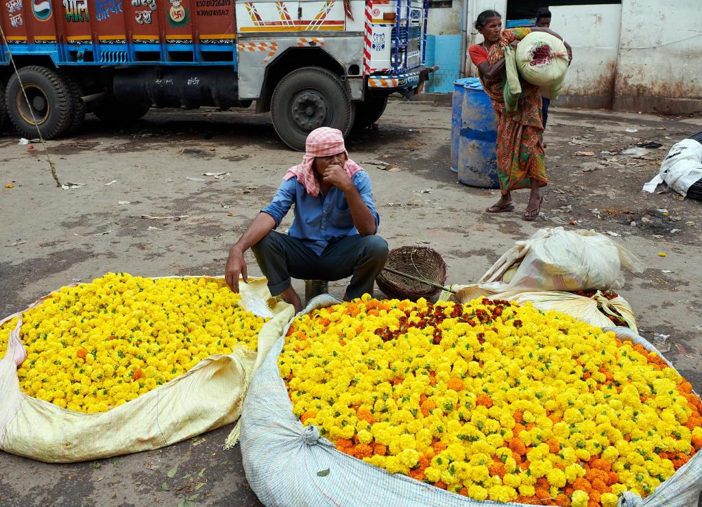 Calcutta. Le marché aux fleurs [Inde] - 2020