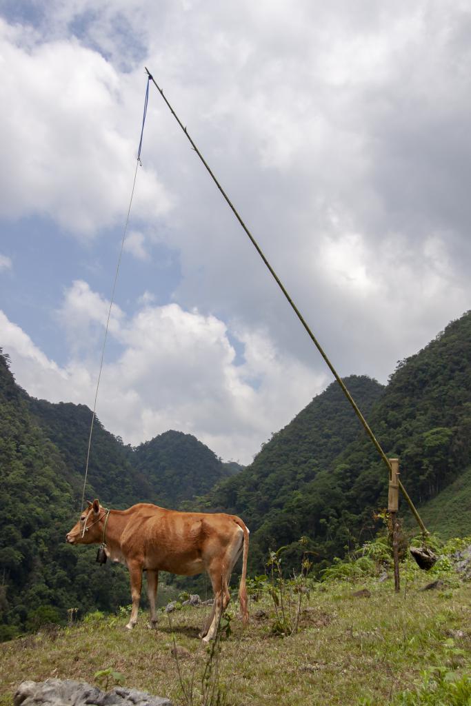 Entre Sac Xai et Nam Ngu [Haut-Tonkin, Vietnam] - 2018