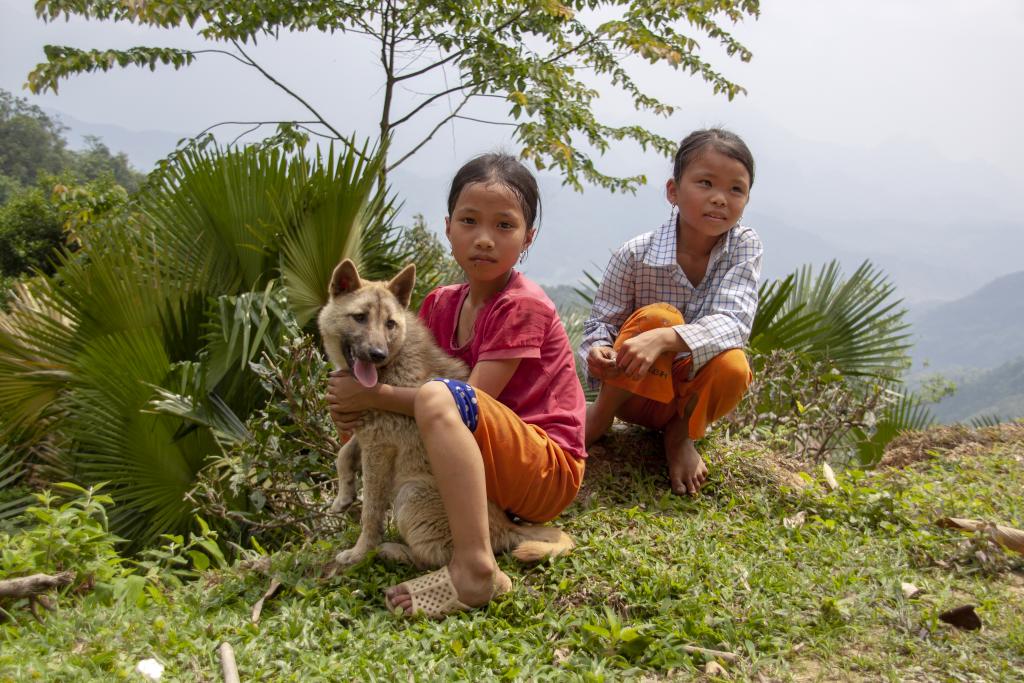 Massif de Tay Con Linh [Haut-Tonkin, Vietnam] - 2018