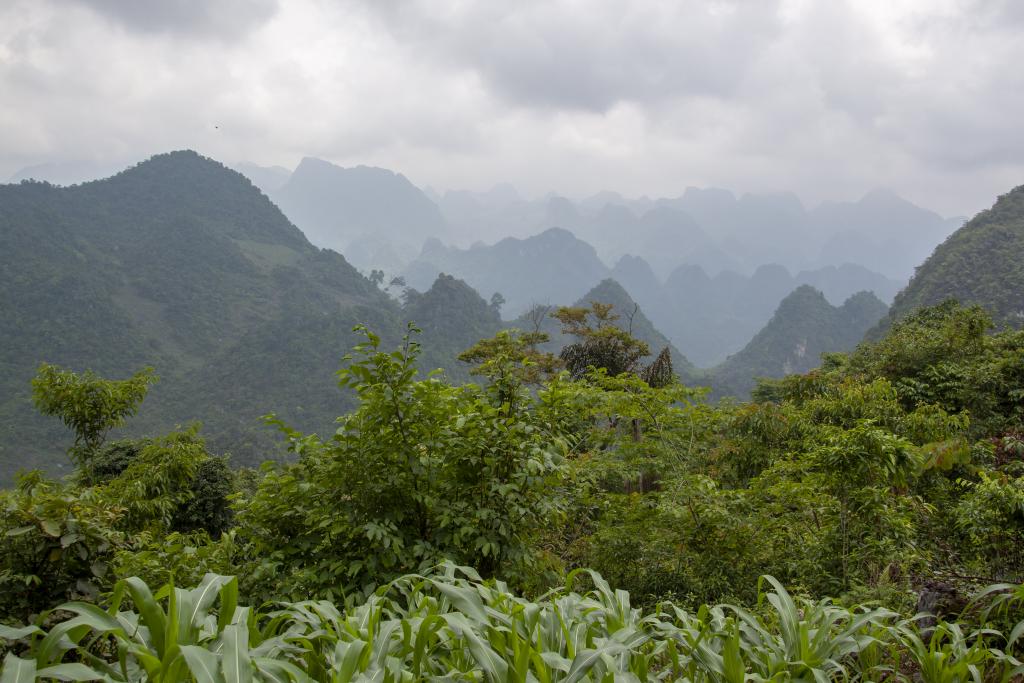 Entre Nam Ngu et Cap Bang [Haut-Tonkin, Vietnam] - 2018