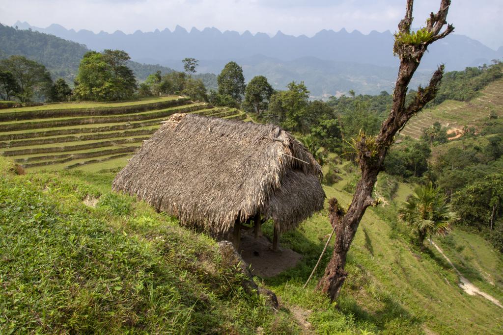 Massif de Tay Con Linh [Haut-Tonkin, Vietnam] - 2018