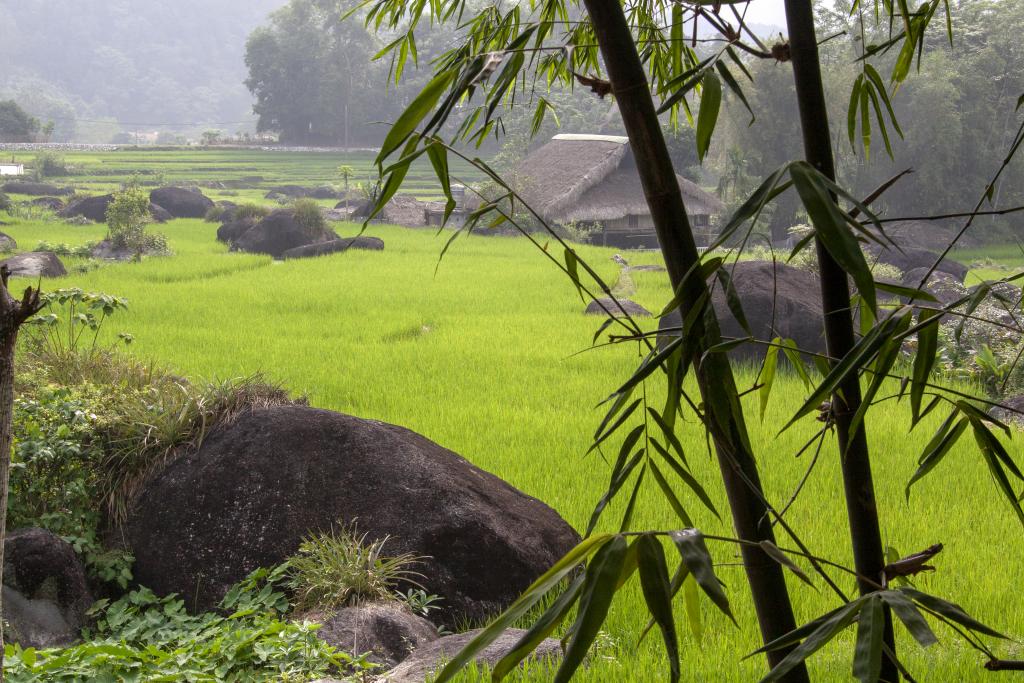 Rizières depuis le village de Thé [Haut-Tonkin, Vietnam] - 2018
