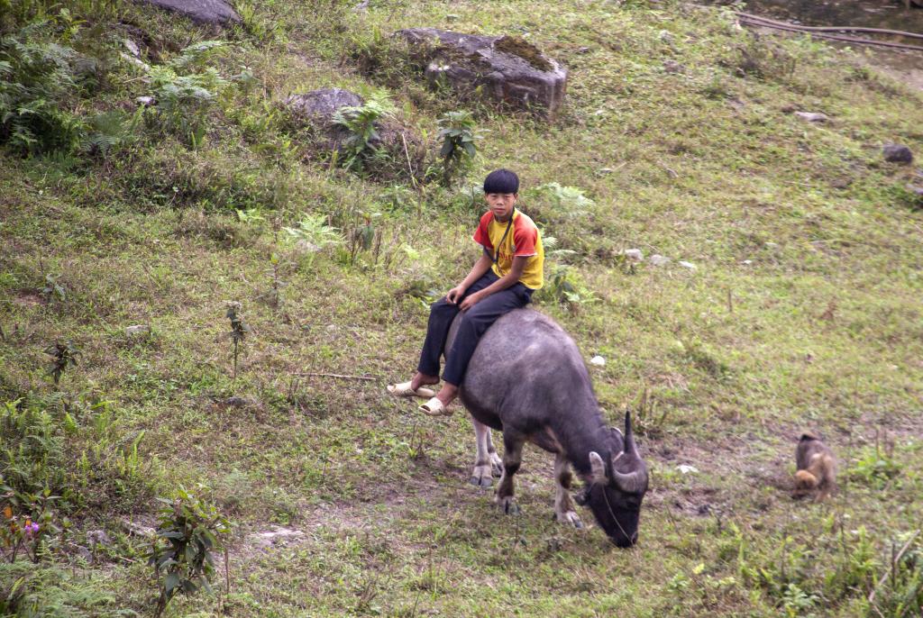 Vallée de Quand Ba [Haut-Tonkin, Vietnam] - 2018