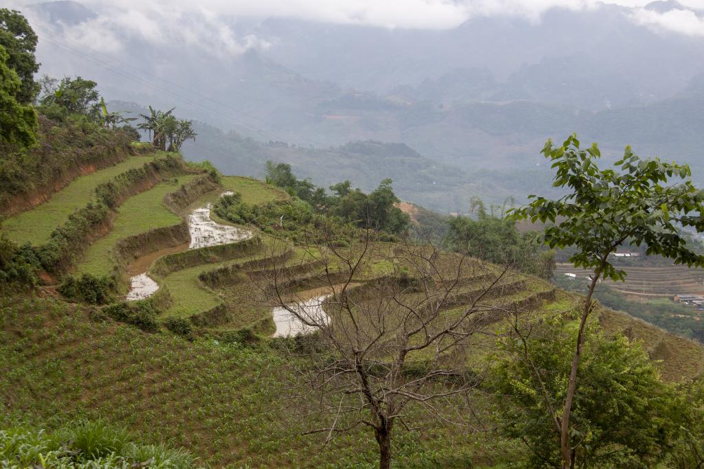 Massif de Can Ty [Haut-Tonkin, Vietnam] - 2018