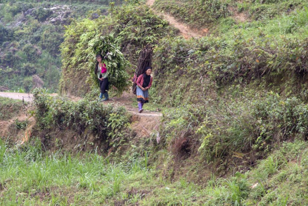 Massif de Can Ty [Haut-Tonkin, Vietnam] - 2018