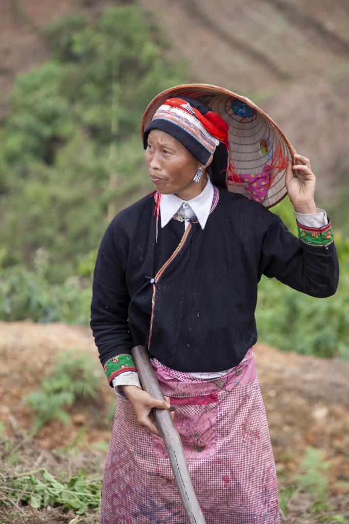 Massif de Can Ty [Haut-Tonkin, Vietnam] - 2018