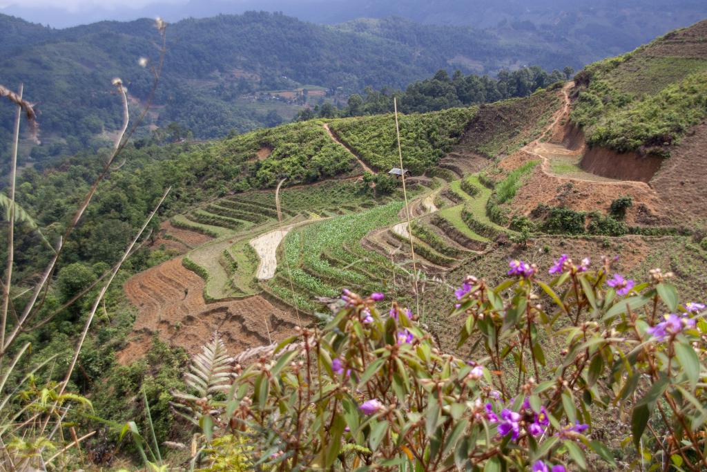 Massif de Can Ty [Haut-Tonkin, Vietnam] - 2018