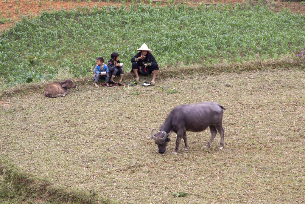 Massif de Can Ty [Haut-Tonkin, Vietnam] - 2018