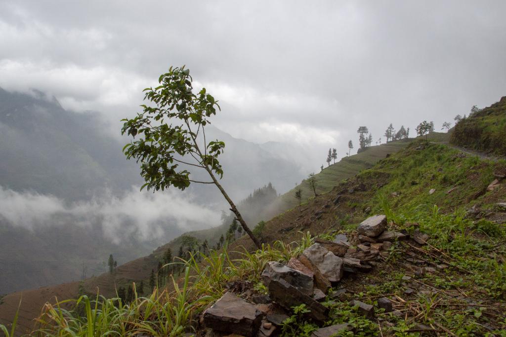 Massif de Pa Vi [Haut-Tonkin, Vietnam] - 2018