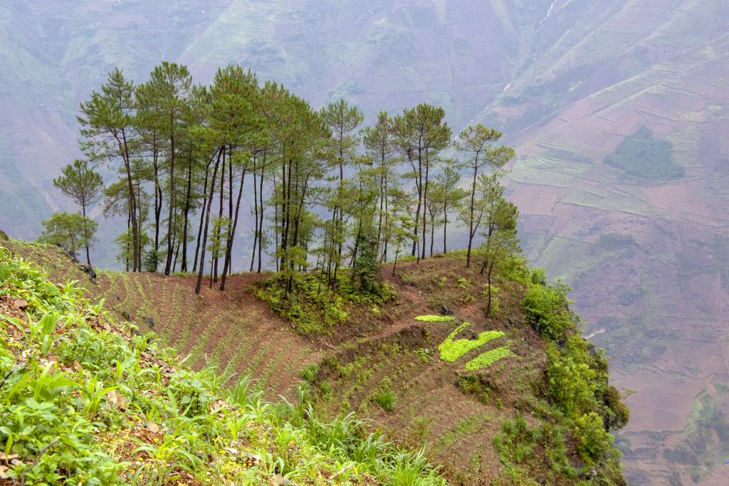 Massif de Pa Vi [Haut-Tonkin, Vietnam] - 2018