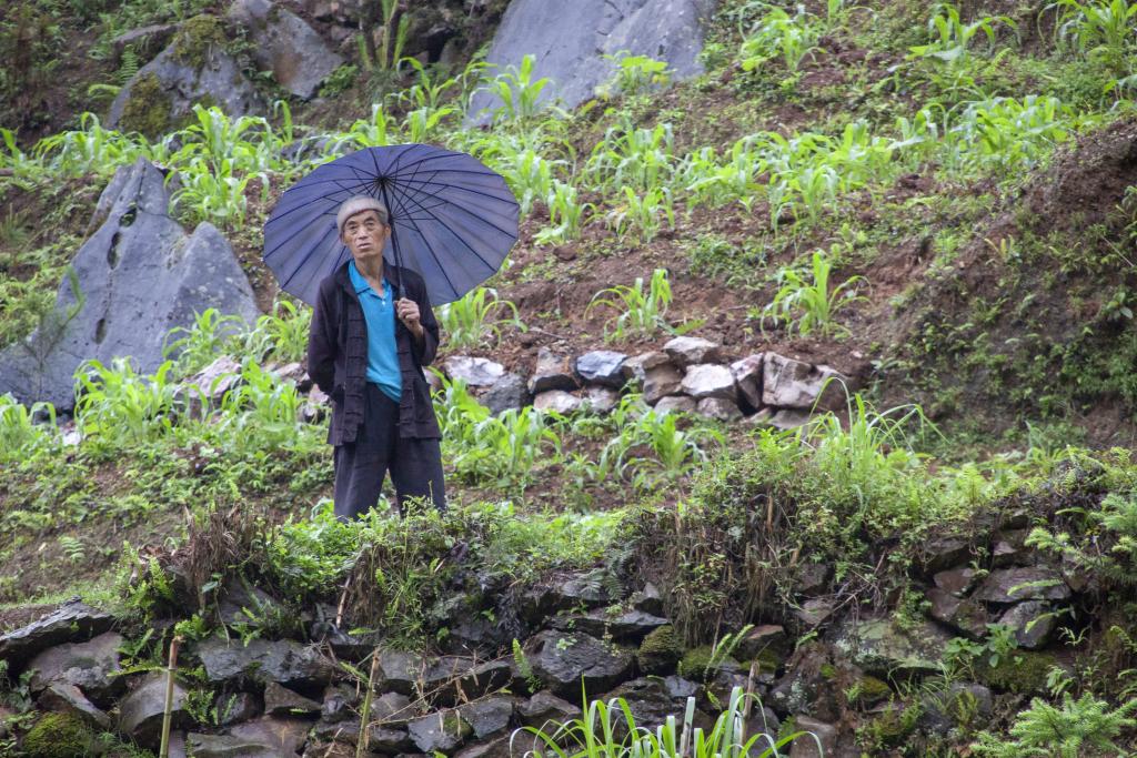 Massif de Pa Vi [Haut-Tonkin, Vietnam] - 2018