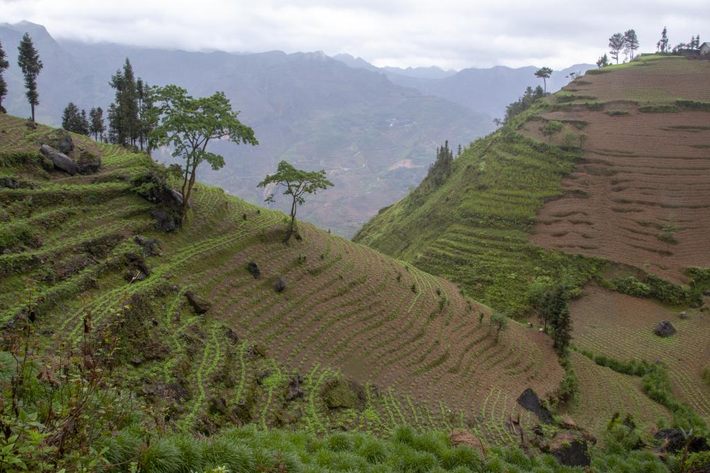 Massif de Pa Vi [Haut-Tonkin, Vietnam] - 2018