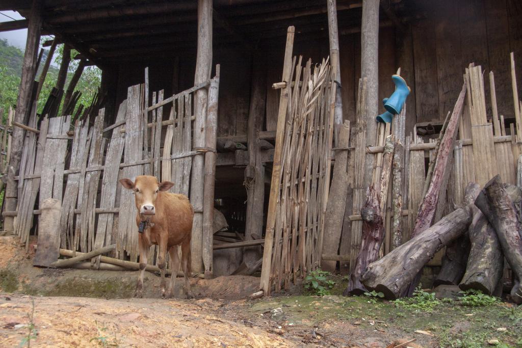 Khuoi Khon, village de Lolos noirs  [Haut-Tonkin, Vietnam] - 2018
