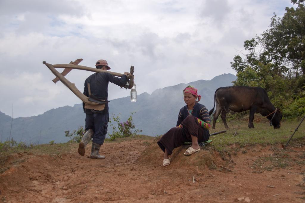 Au-dessus de Khuoi Khon, village de Lolos noirs  [Haut-Tonkin, Vietnam] - 2018