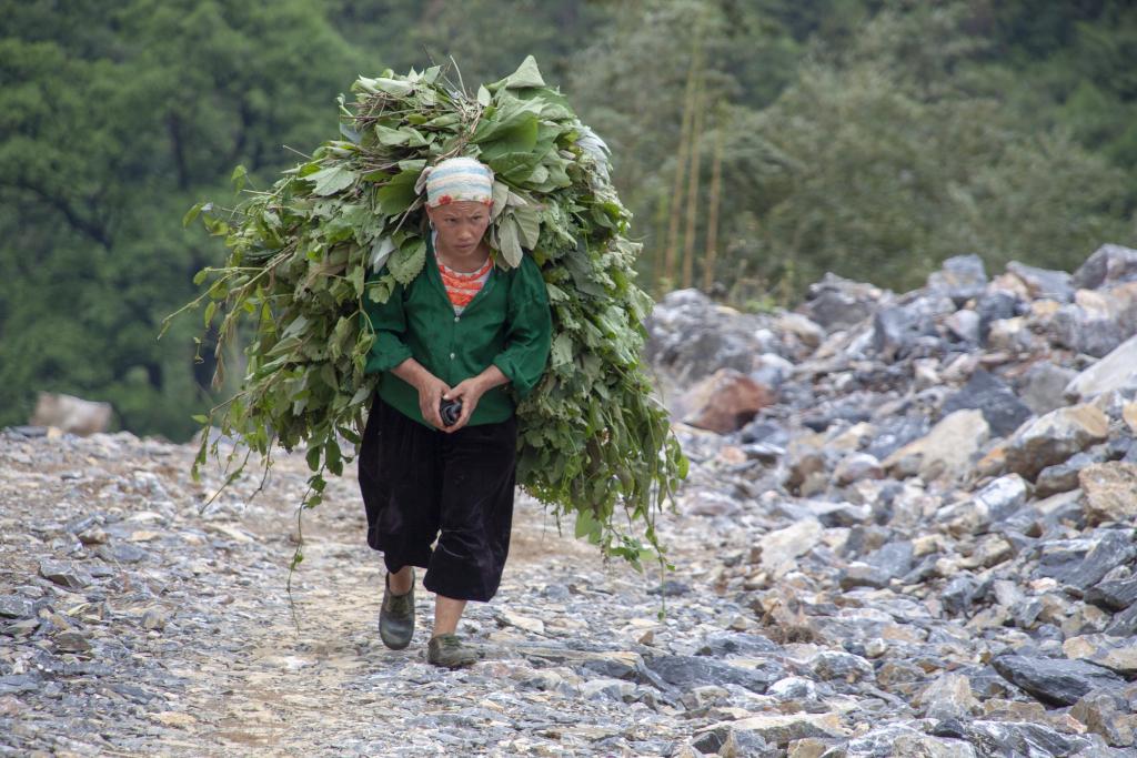 Entre Khuoi Khon et Sac Xai [Haut-Tonkin, Vietnam] - 2018