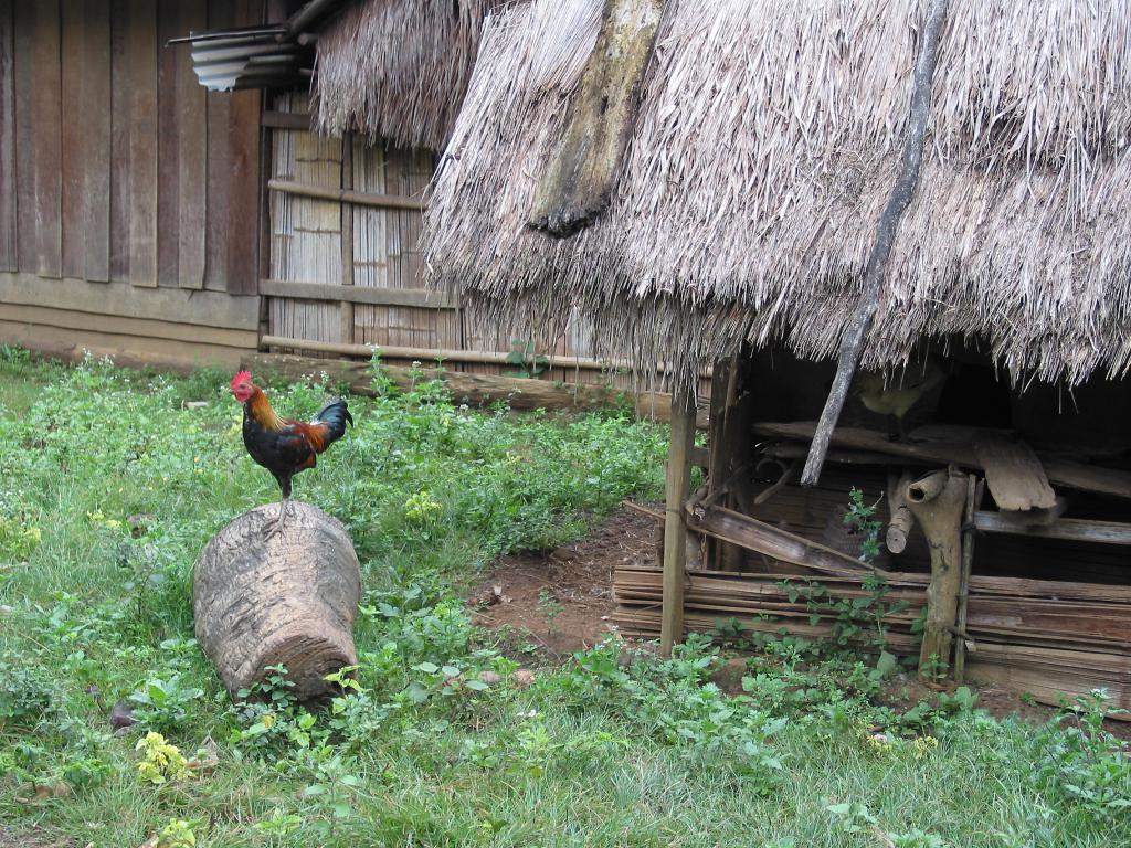 [Laos] - 2002