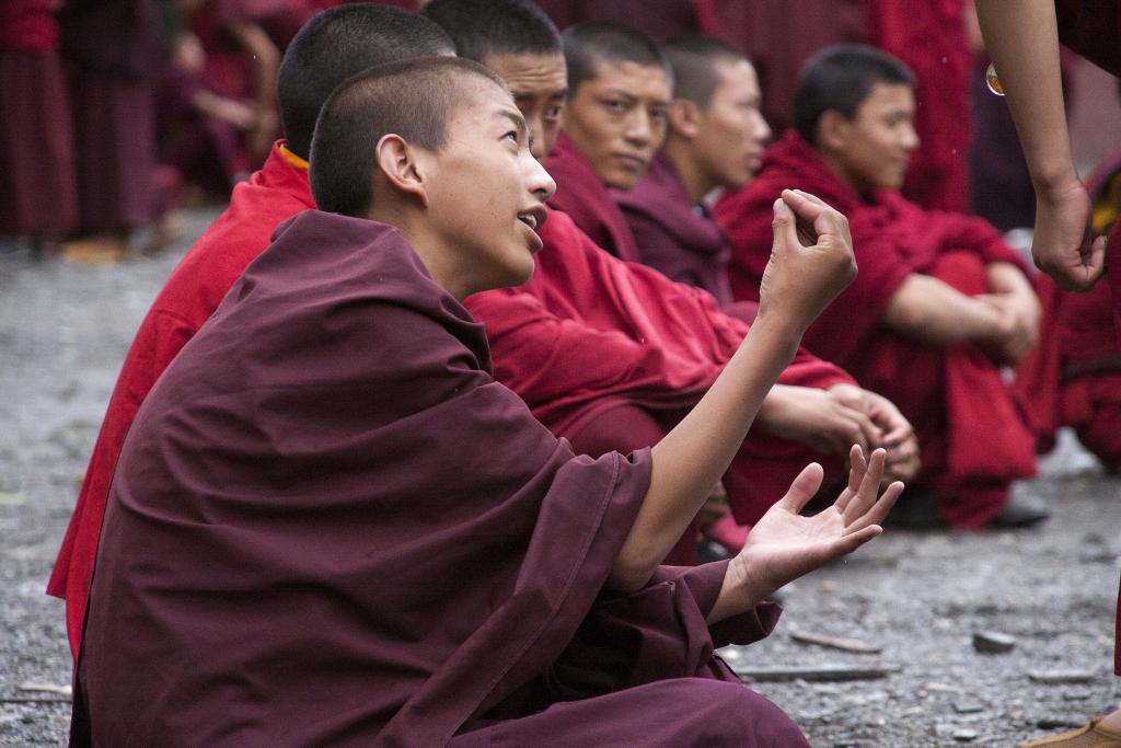 Joutes oratoires au monastère de Dongzsar [Pays de Kham, ancien Grand Tibet, Chine] - 2014
