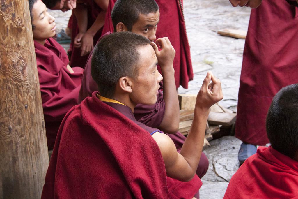 Joutes oratoires au monastère de Dongzsar [Pays de Kham, ancien Grand Tibet, Chine] - 2014