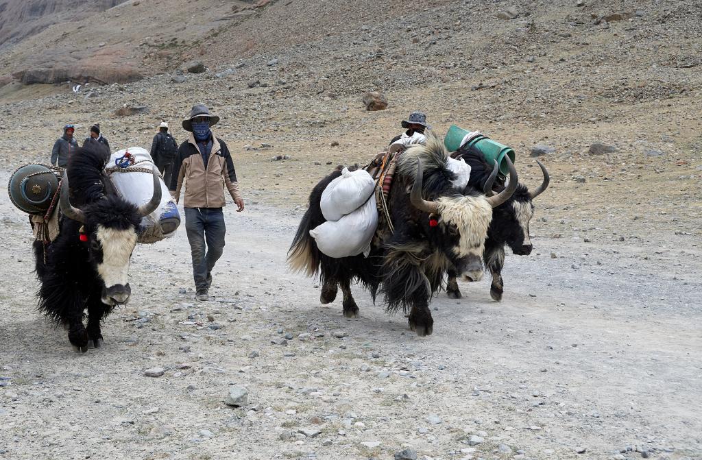 Compagnons de route : tous égrènent le chapelet et marmonnent un mantra