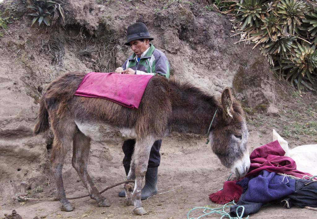 7h00 du matin : Baltazar se prépare pour "monter" à la limite des glaces du Chimborazo