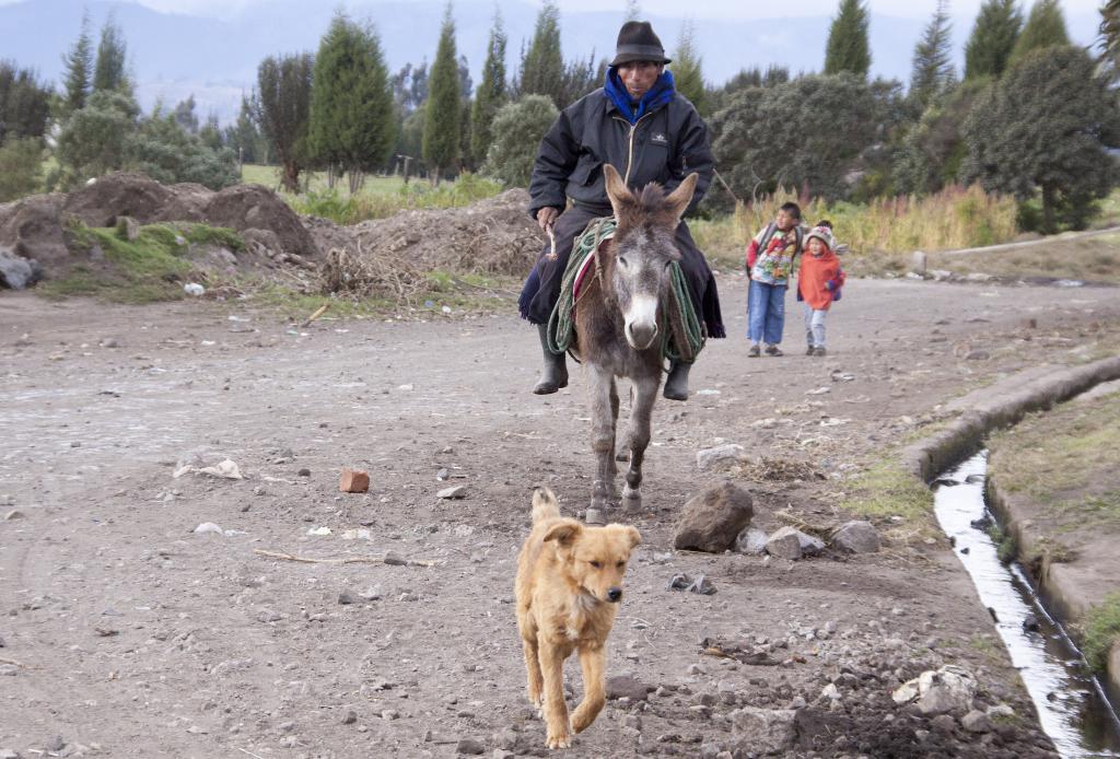 En route pour le Chimborazo !