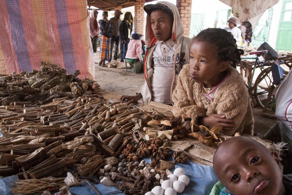 Le marché d'Ambalavao [Madagascar] - 2017