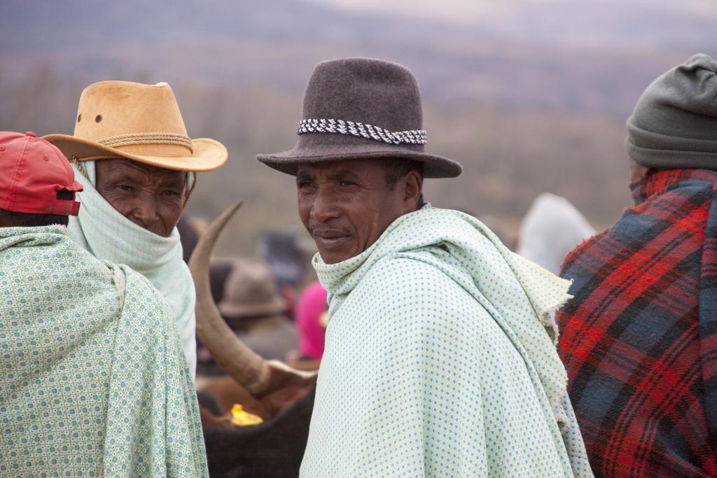 Le marché aux zébus d'Ambalavao [Madagascar] - 2017