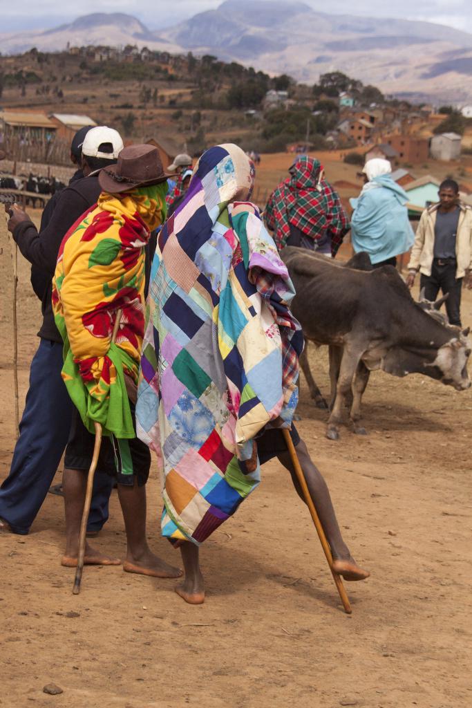 Le marché aux zébus d'Ambalavao [Madagascar] - 2017