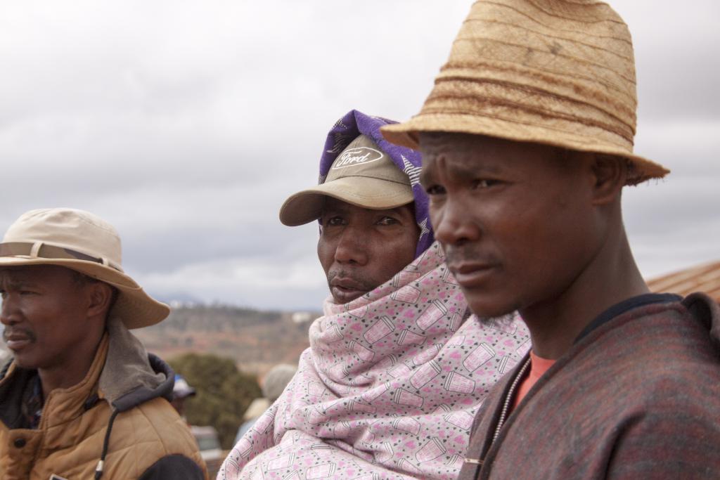 Le marché aux zébus d'Ambalavao [Madagascar] - 2017