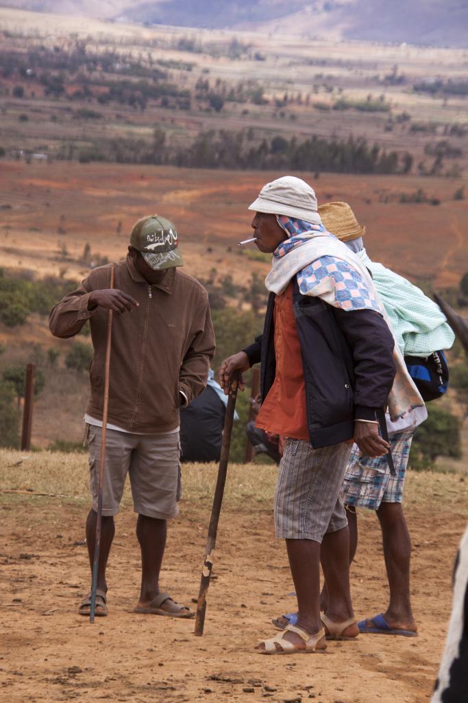 Le marché aux zébus d'Ambalavao [Madagascar] - 2017