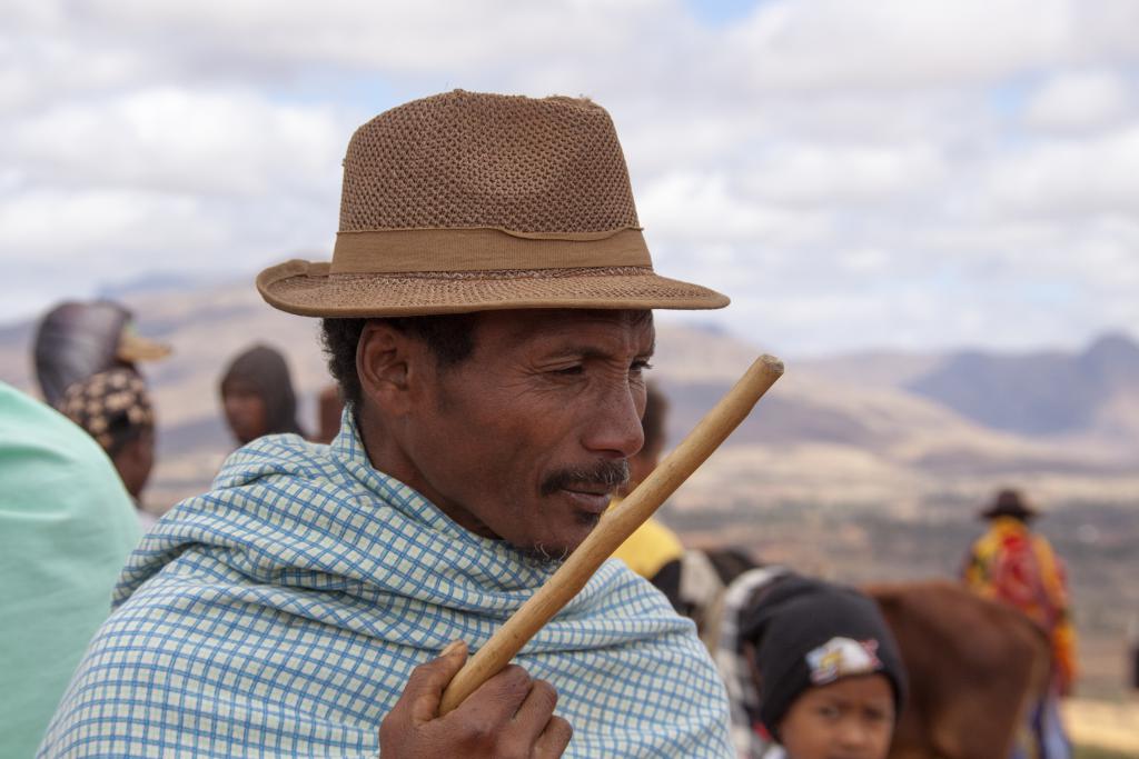 Le marché aux zébus d'Ambalavao [Madagascar] - 2017