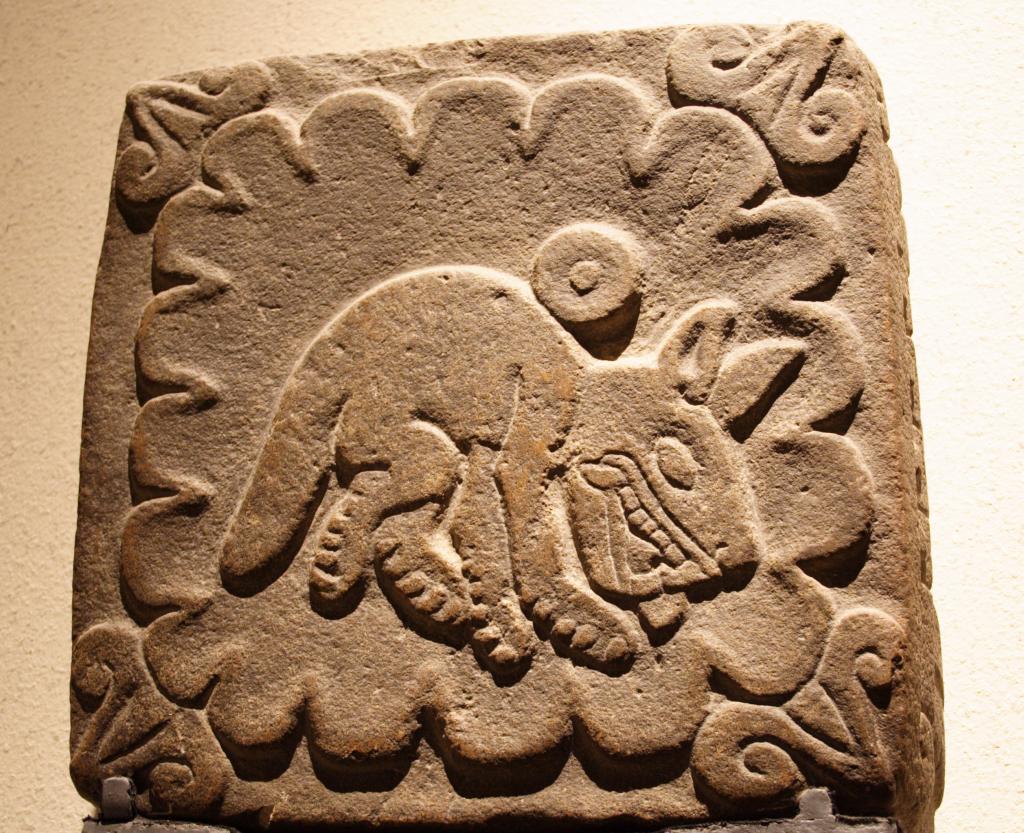 Musée anthropologique de Mexico