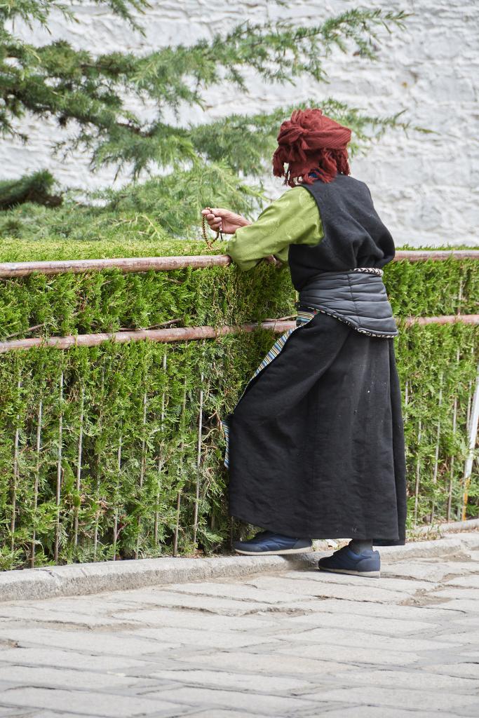 La Kora autour du Potala, Lhassa [Tibet] - 2019