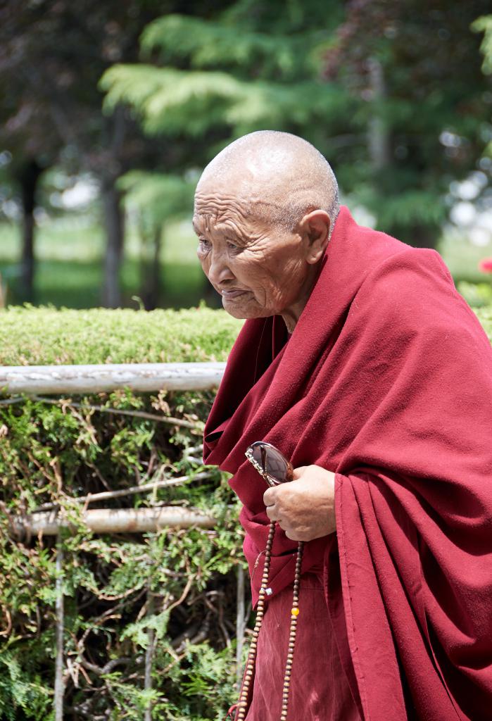 La Kora autour du Potala, Lhassa [Tibet] - 2019