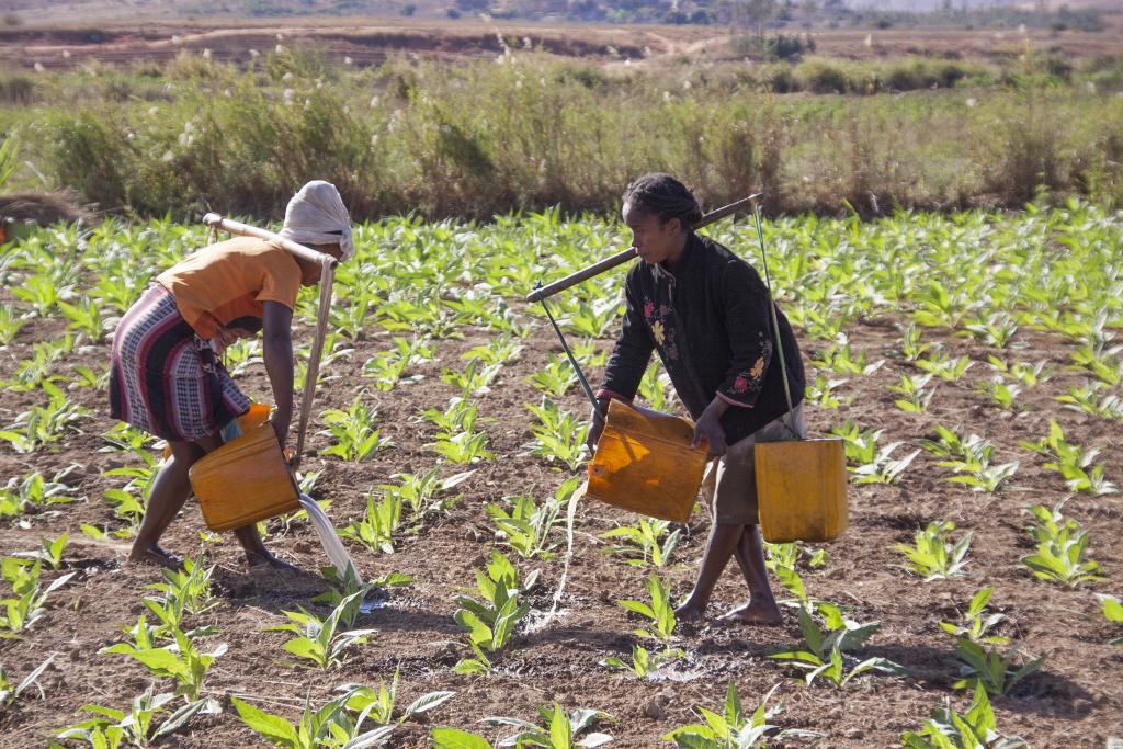 Villages en amont de la réserve d'Anja [Madagascar] - 2017