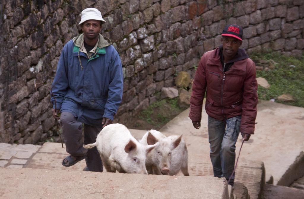 Fianarantsoa [Madagascar] - 2017