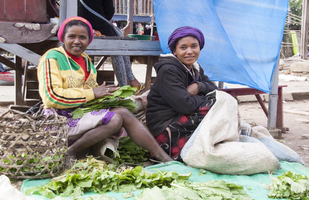 Ranomafana, les Hautes-Terres [Madagascar] - 2017