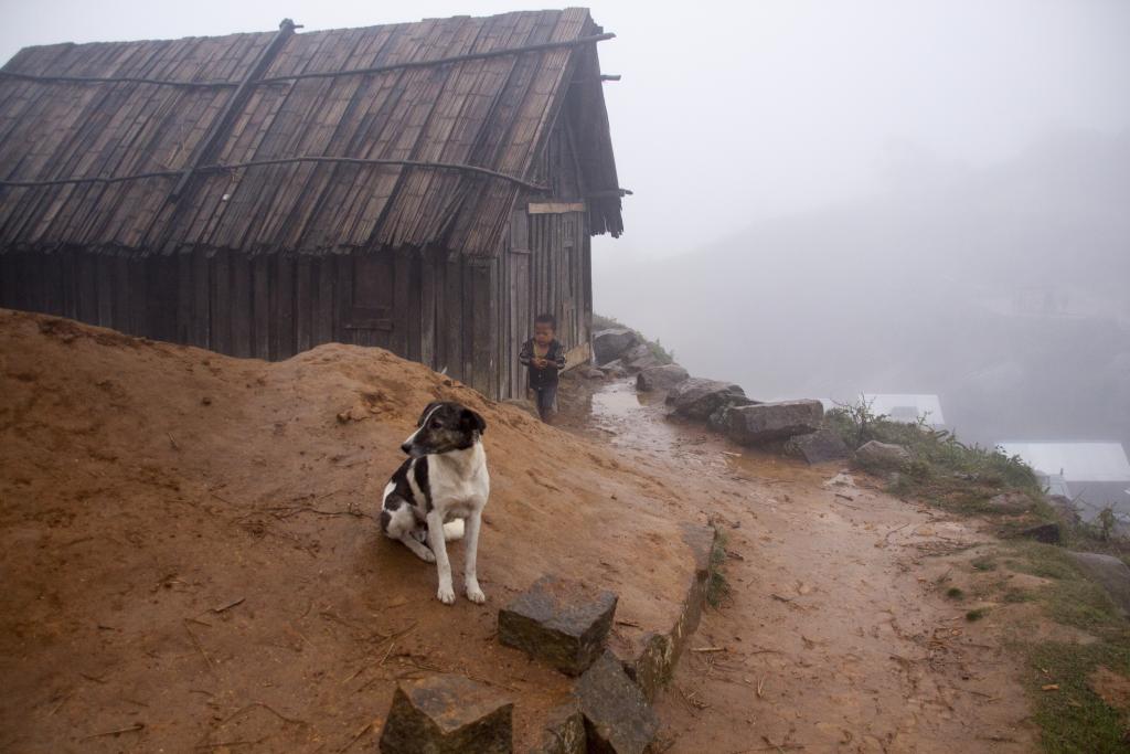 Pays Zafimaniry [Madagascar] - 2017 