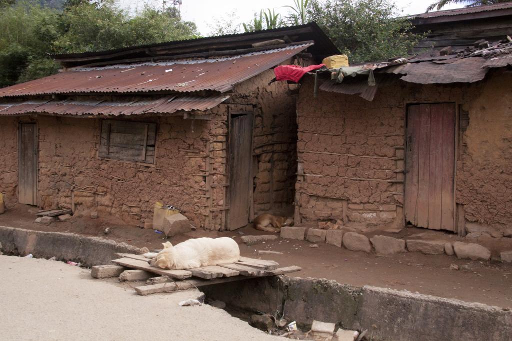 Ranomafana, les Hautes-Terres [Madagascar] - 2017