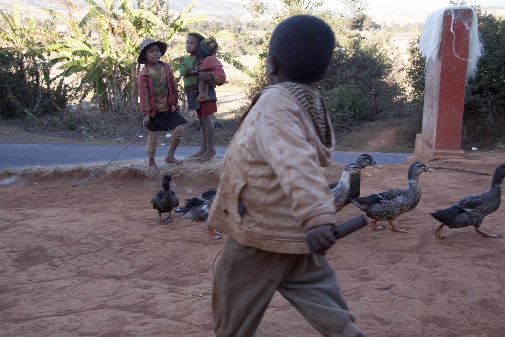 Les Hautes-Terres [Madagascar] - 2017