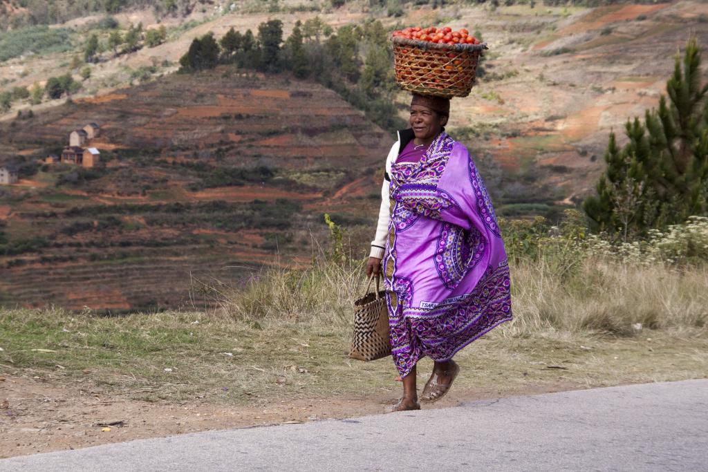 Les Hautes-Terres [Madagascar] - 2017