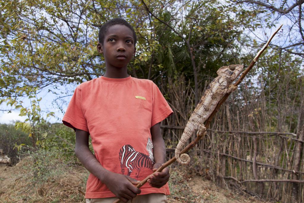 Les trois baies [Madagascar] - 2017