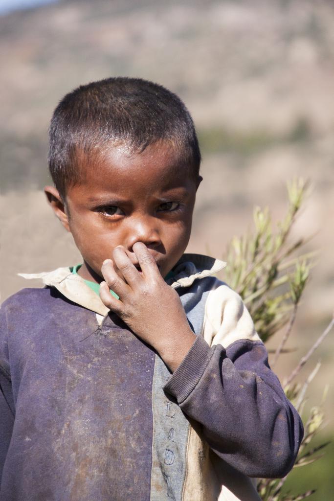 Les Hautes-Terres [Madagascar] - 2017