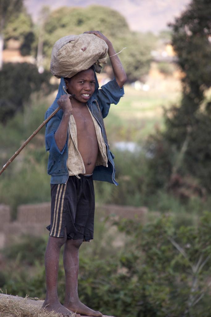 Les Hautes-Terres [Madagascar] - 2017